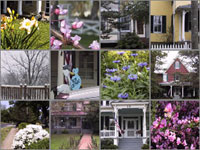 Hamilton photo collage